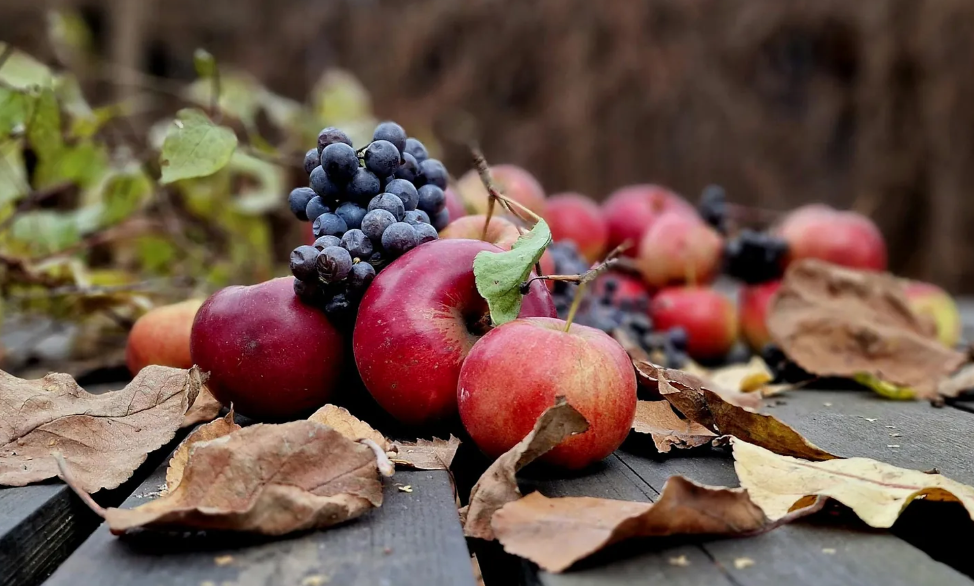 10 alimentos de temporada en tu dieta este octubre